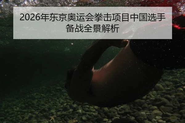 2026年东京奥运会拳击项目中国选手备战全景解析